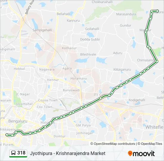 318 Bus Line Map