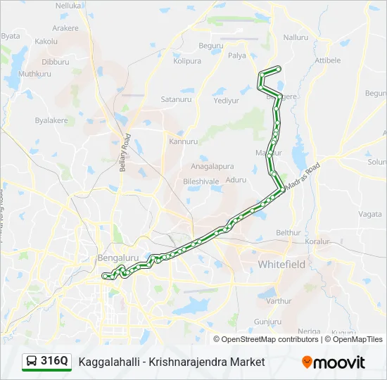 316Q Bus Line Map