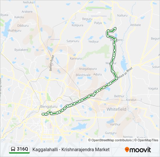 316Q Bus Line Map