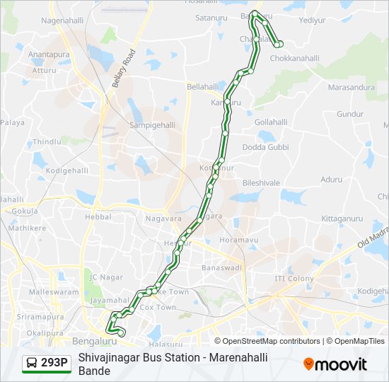 293P bus Line Map