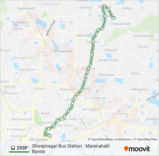 293P Bus Line Map