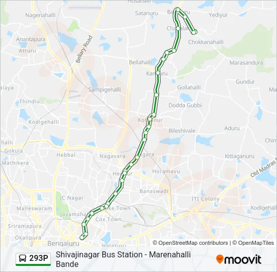 293P Bus Line Map