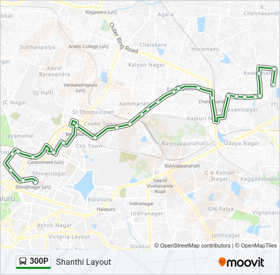 300P bus Line Map