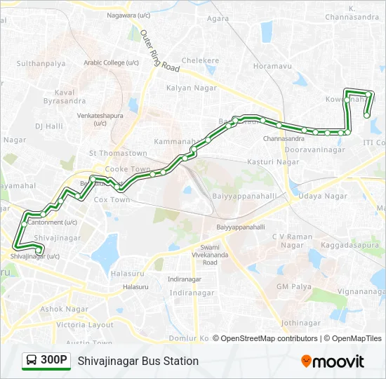 300P Bus Line Map