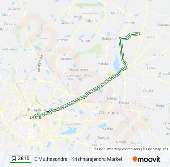 381D Bus Line Map