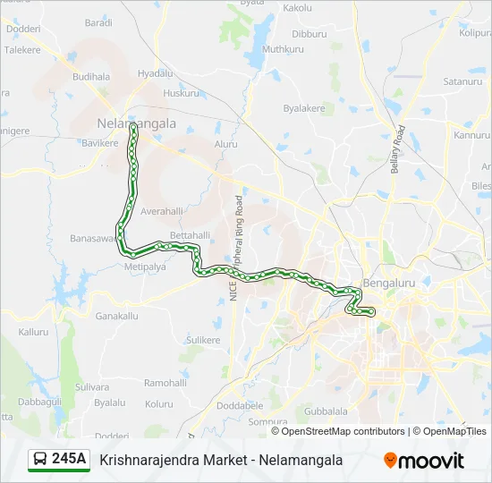 245A Bus Line Map