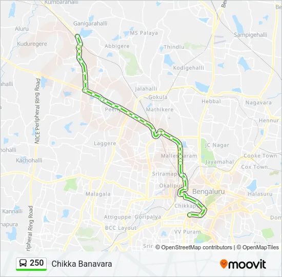 250 Bus Line Map