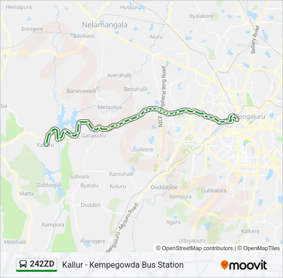 242ZD Bus Line Map