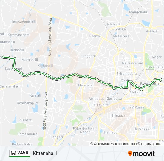 245R Bus Line Map