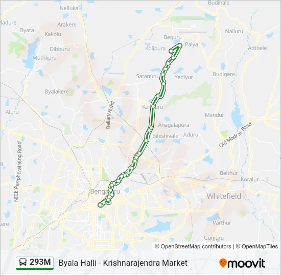 293M Bus Line Map
