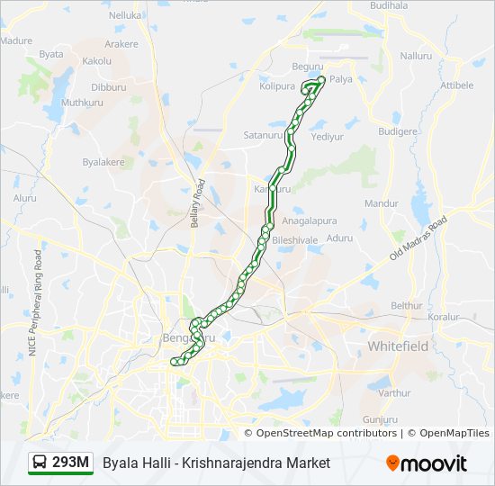 293M bus Line Map