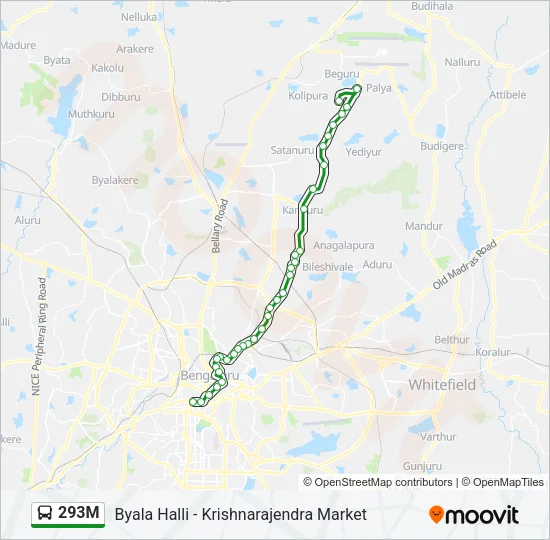 293M Bus Line Map
