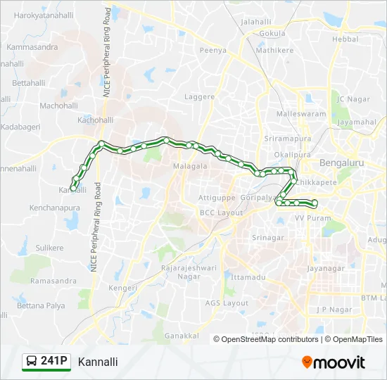 241P Bus Line Map