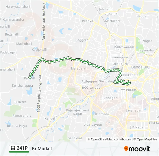 241P Bus Line Map