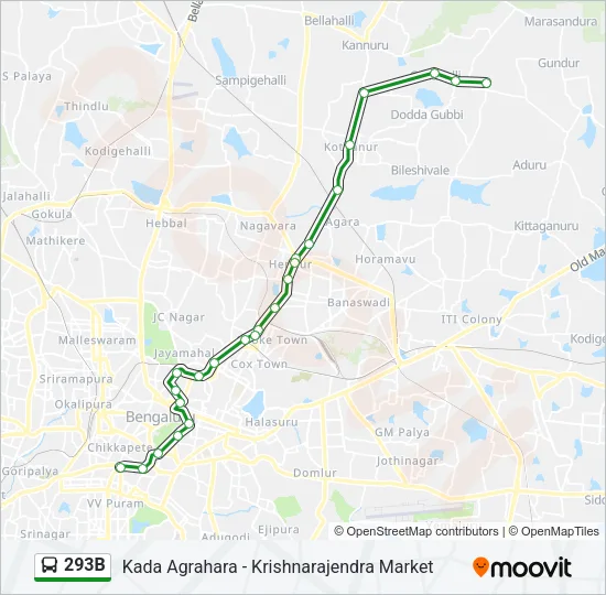 293B Bus Line Map