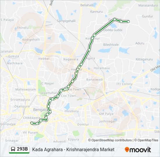 293B Bus Line Map