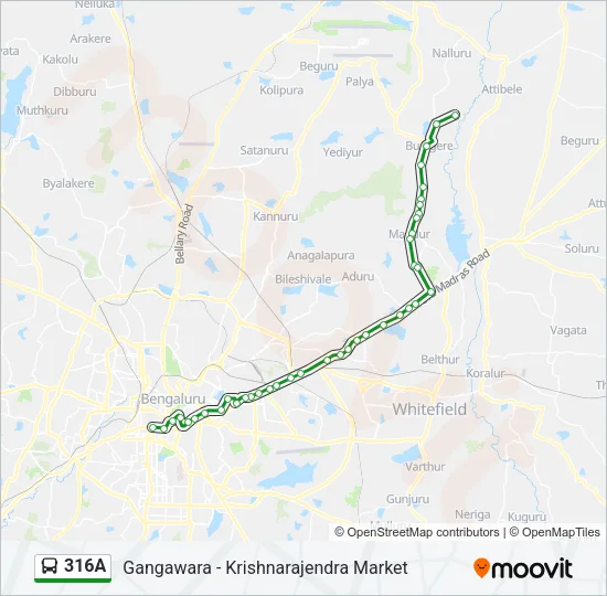 316A Bus Line Map