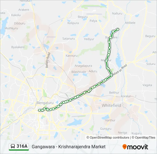 316A Bus Line Map