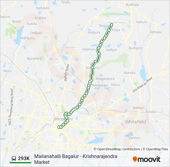293K Bus Line Map