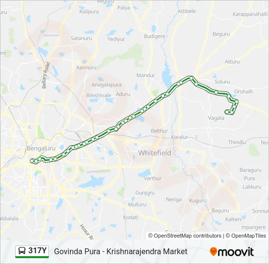 317Y Bus Line Map