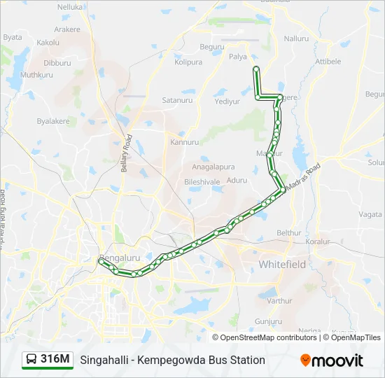 316M Bus Line Map