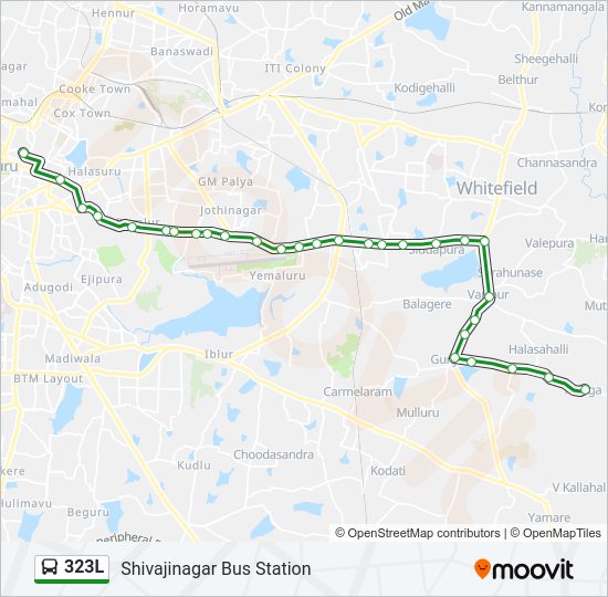 323L Bus Line Map