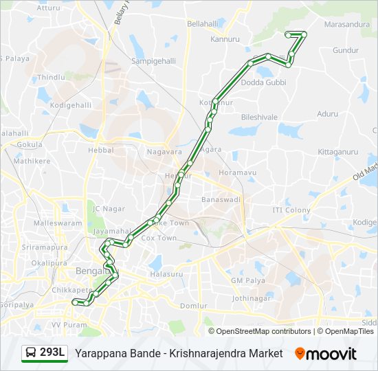 293L Bus Line Map