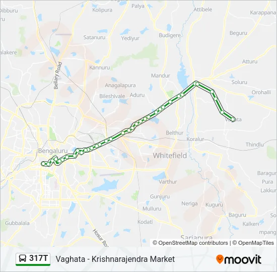317T Bus Line Map