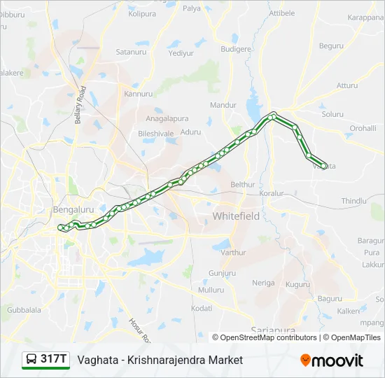 317T Bus Line Map