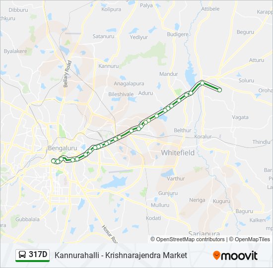 317D bus Line Map