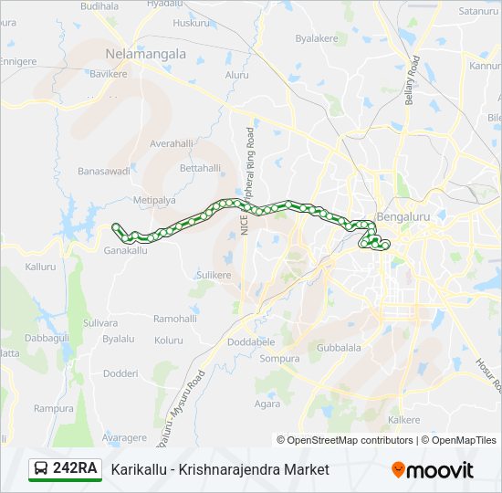 242RA bus Line Map