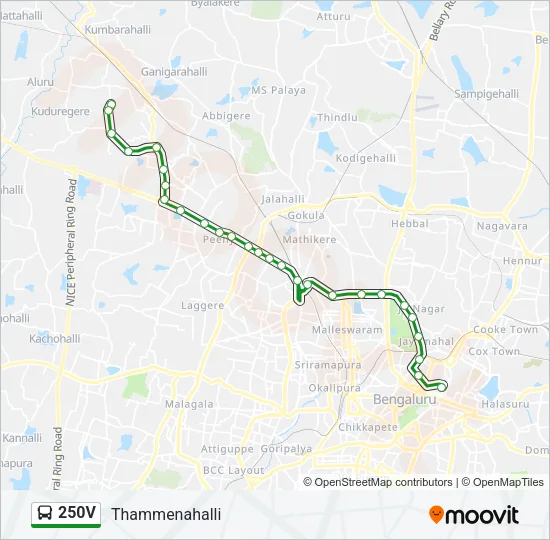 250V Bus Line Map