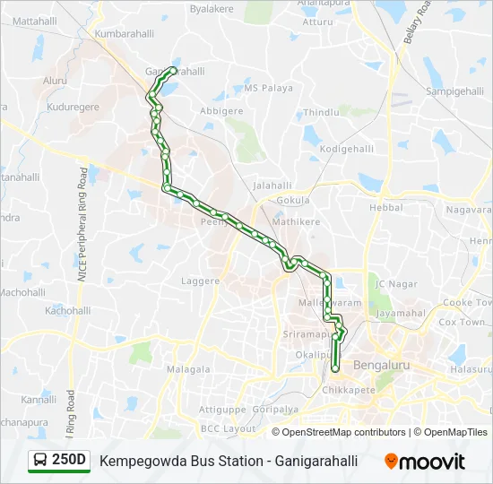 250D Bus Line Map