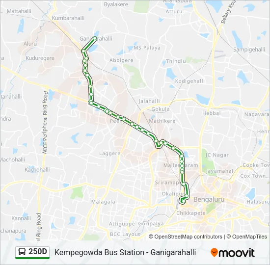 250D Bus Line Map