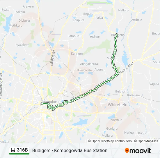 316B Bus Line Map