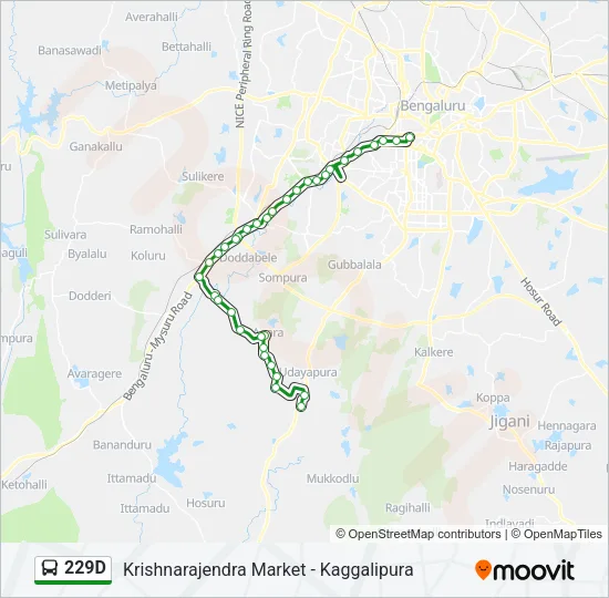 229D Bus Line Map