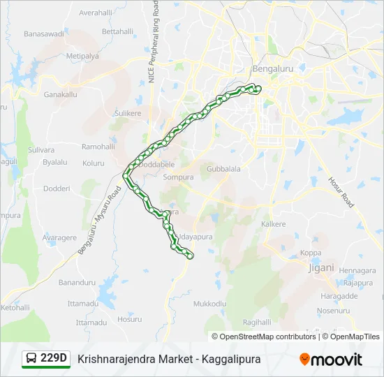 229D Bus Line Map