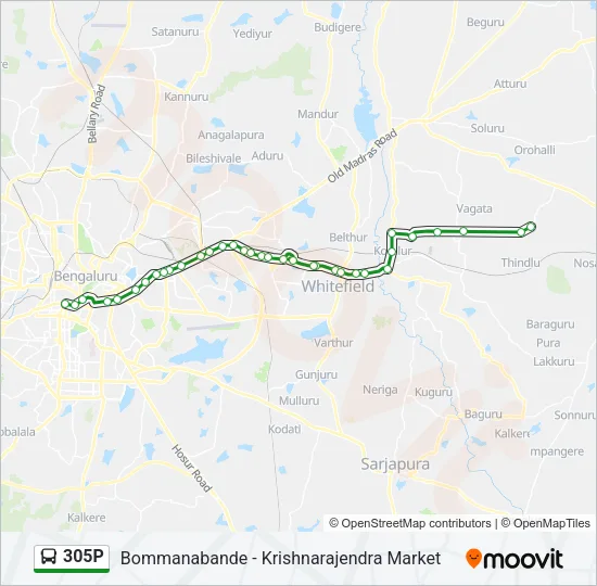 305P Bus Line Map