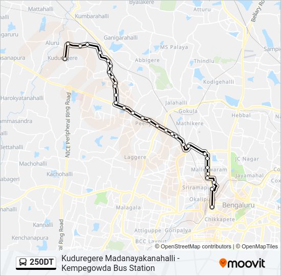 250DT bus Line Map