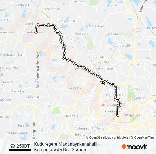 250DT Bus Line Map