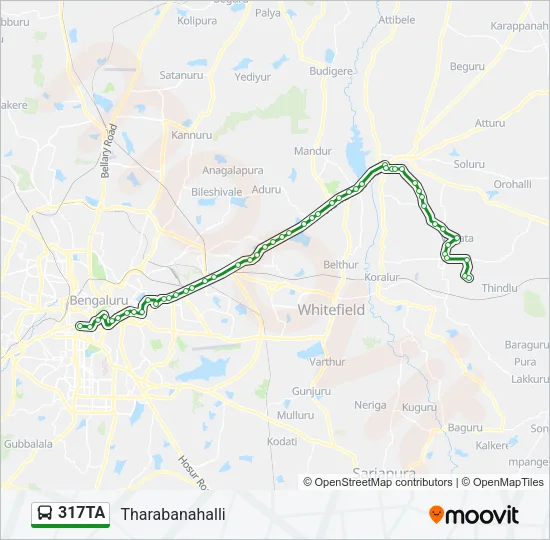 317TA Bus Line Map