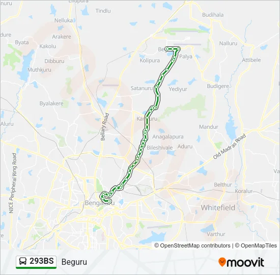 293BS Bus Line Map