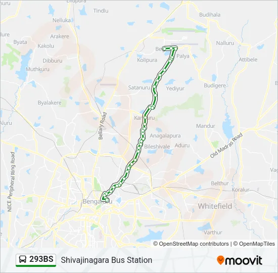 293BS Bus Line Map