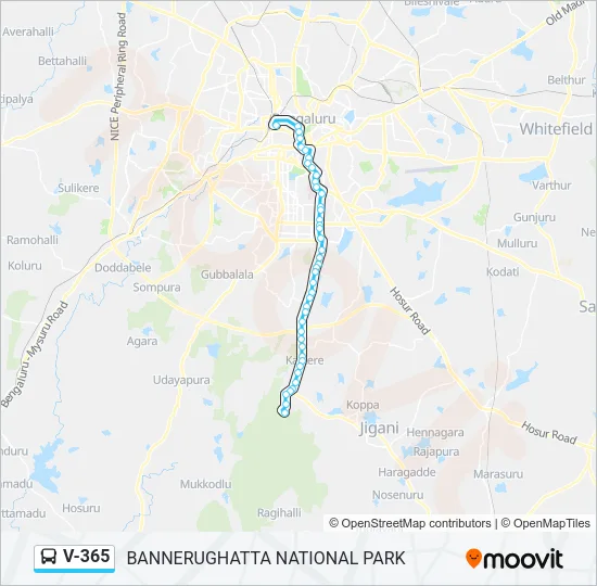 V-365 Bus Line Map