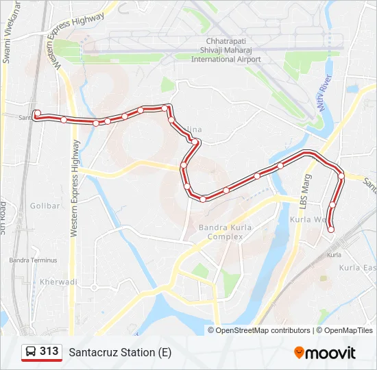 313 Bus Line Map