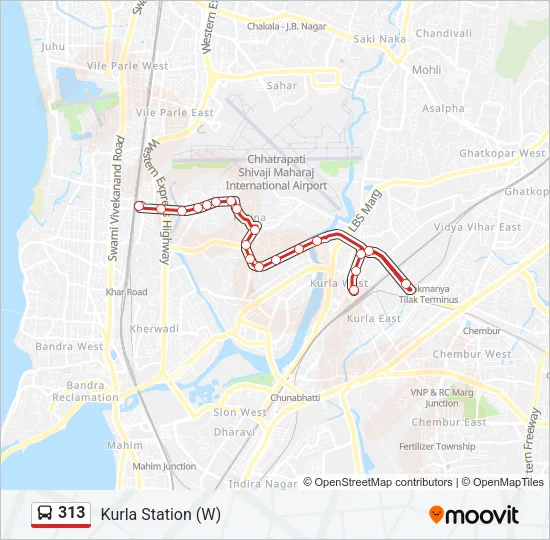 313 Bus Line Map