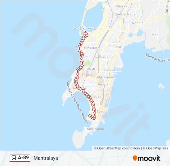 A-89 Bus Line Map