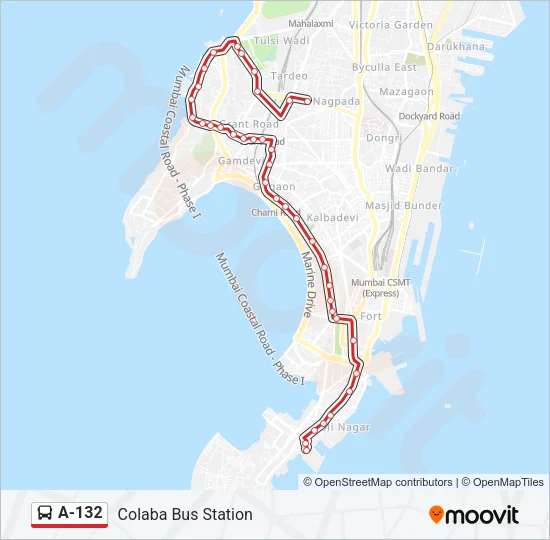 A-132 Bus Line Map