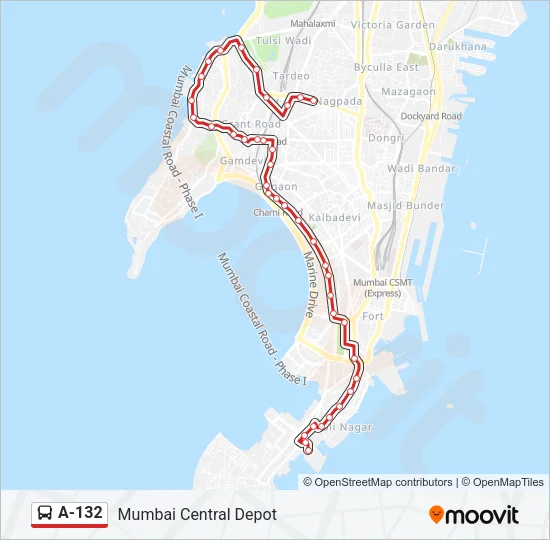 A-132 Bus Line Map