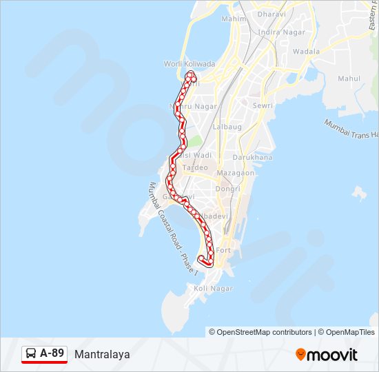 A-89 bus Line Map